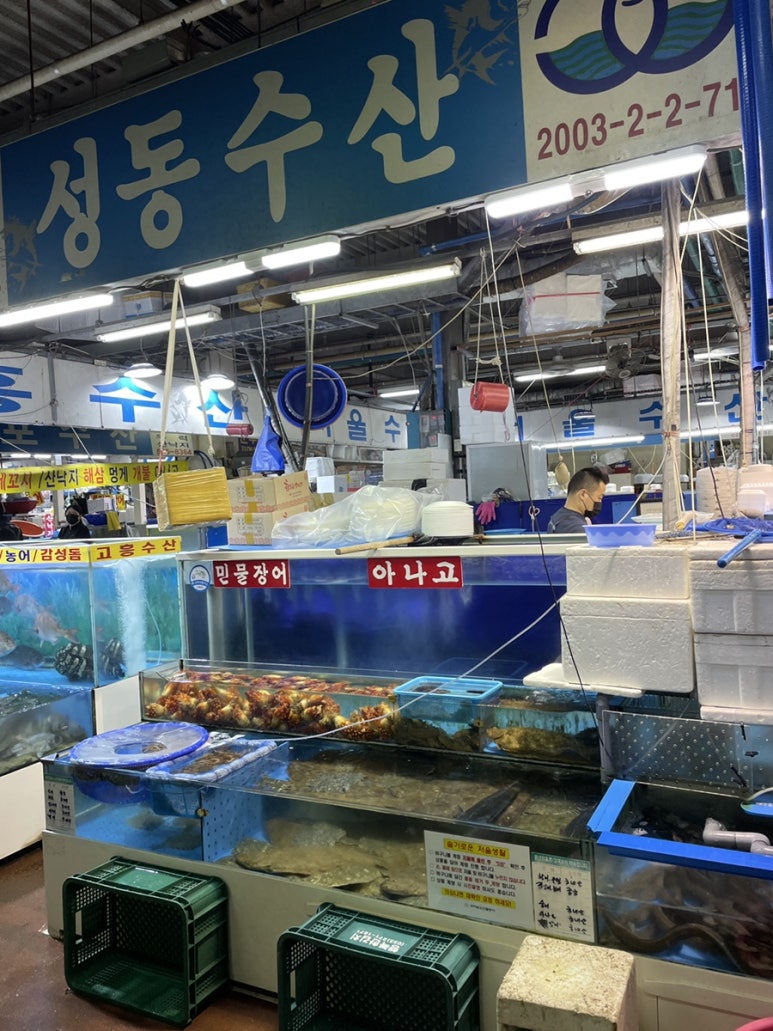 성동수산주 이미지