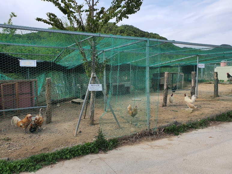 고운마을캠핑장 이미지
