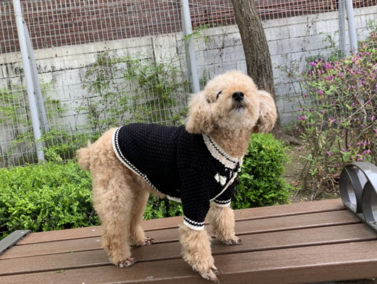 호치민칼디커피 이미지