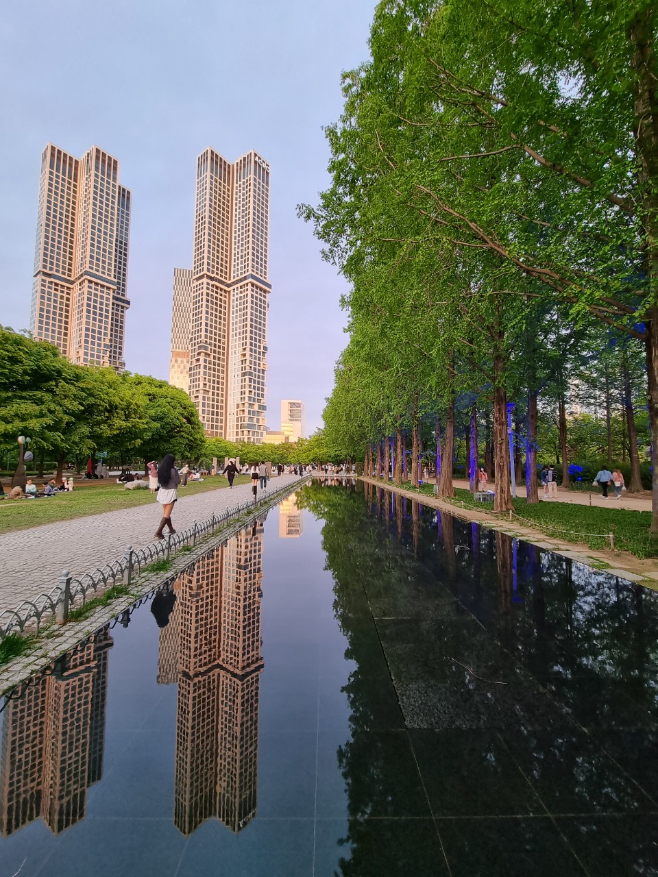 저녁숲 이미지