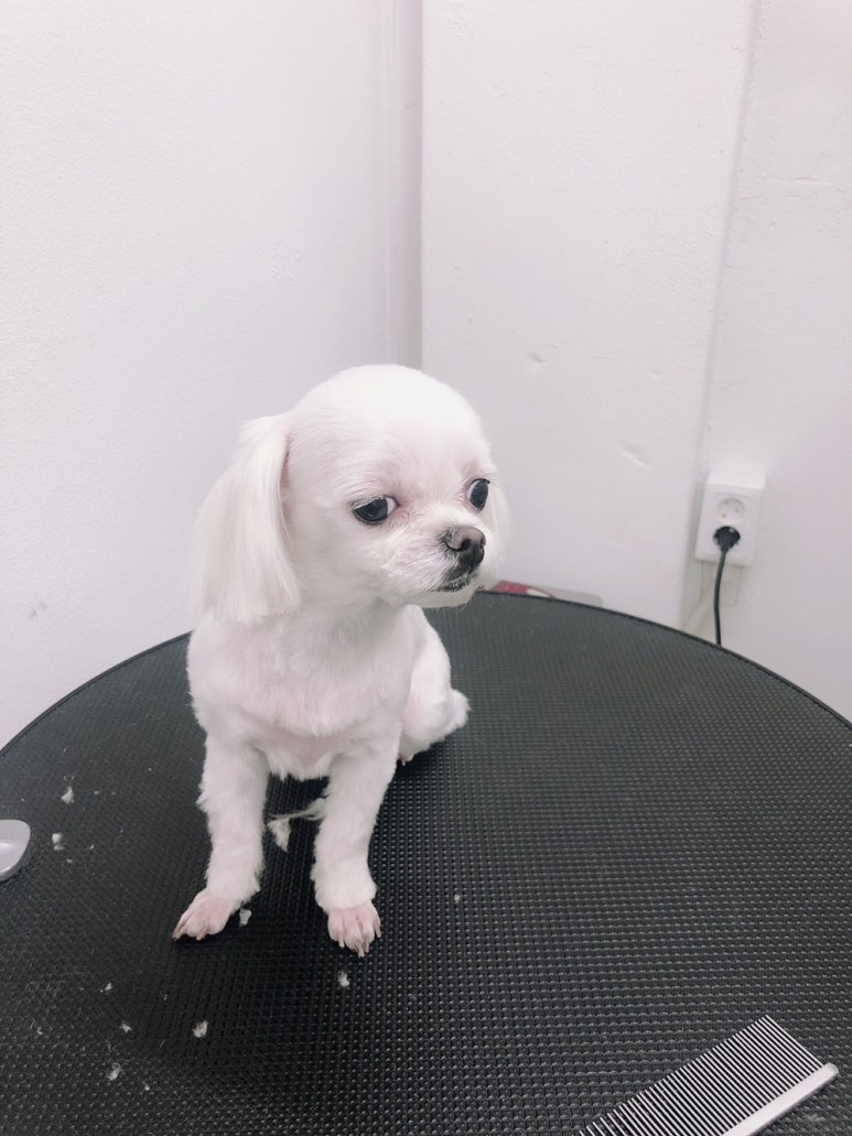 초원샵 이미지
