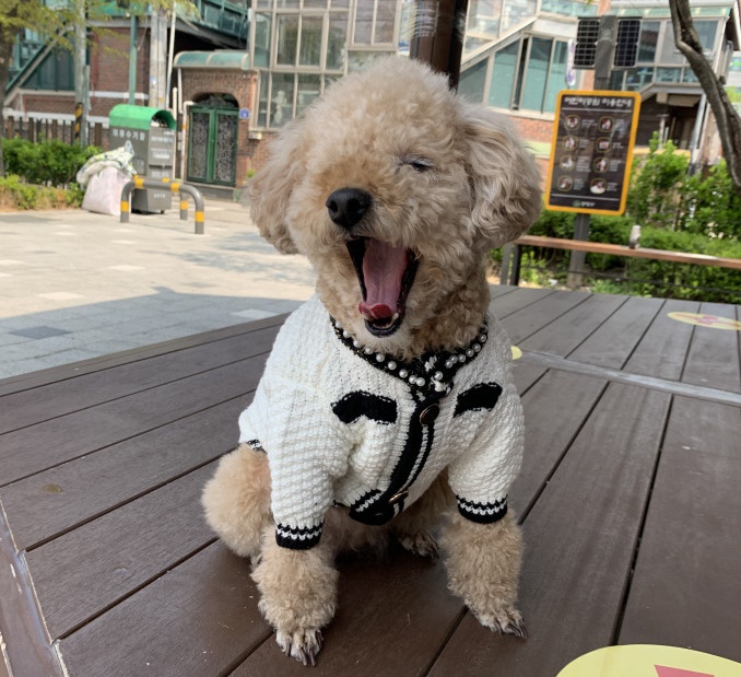 호치민칼디커피 이미지