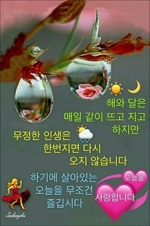 아랑고고 이미지