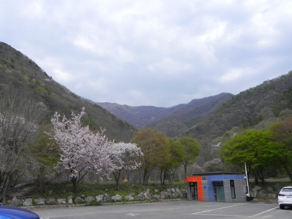 연석산&숲 이미지