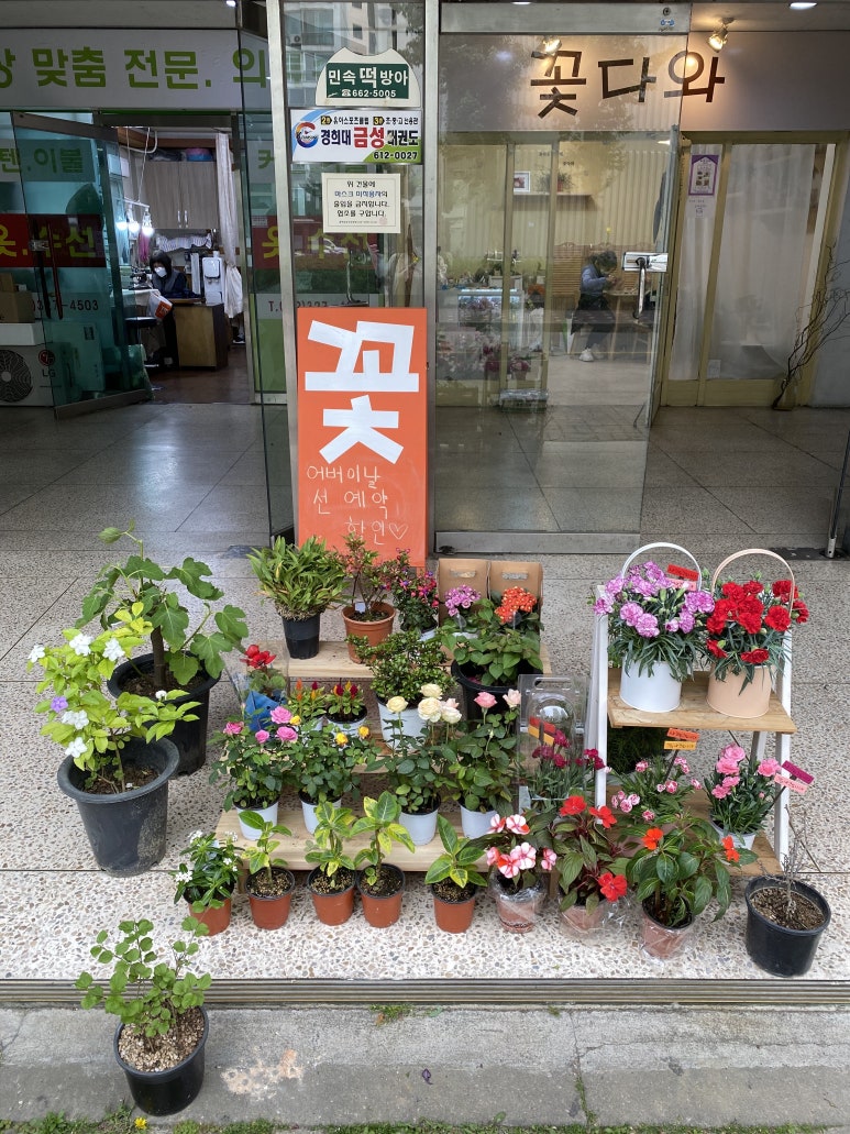 꽃다와 이미지