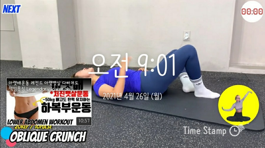 삐약스핏 이미지