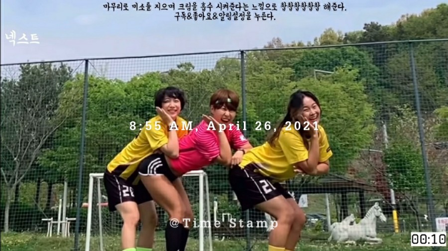 삐약스핏 이미지