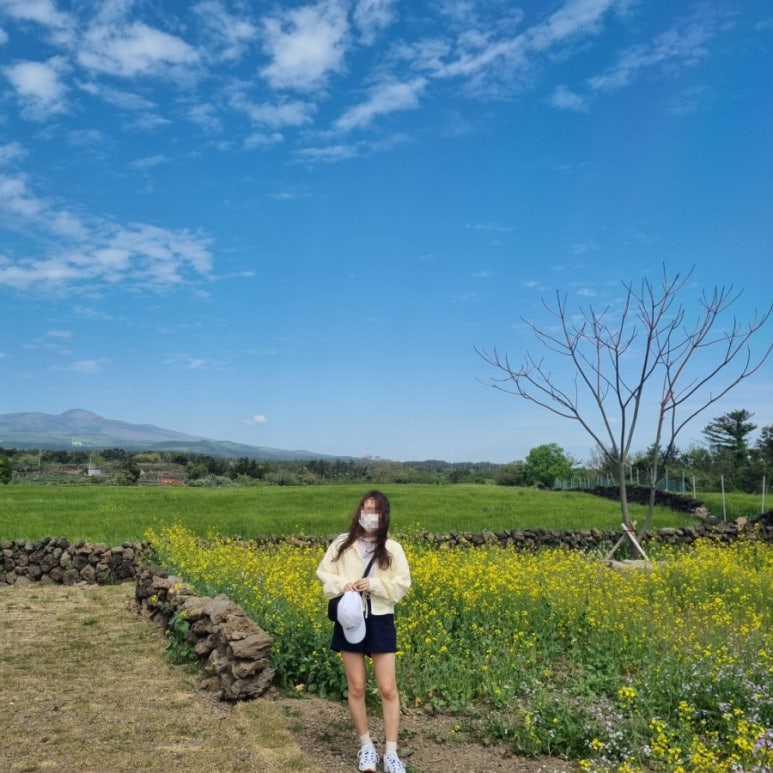 컴발란스 이미지