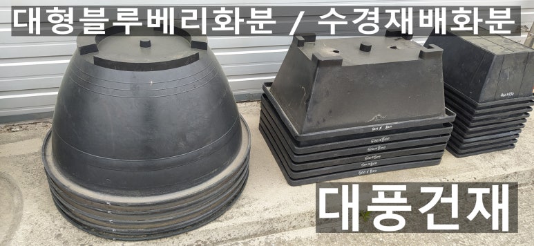 대풍건재 이미지
