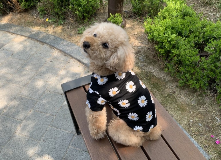 호치민칼디커피 이미지