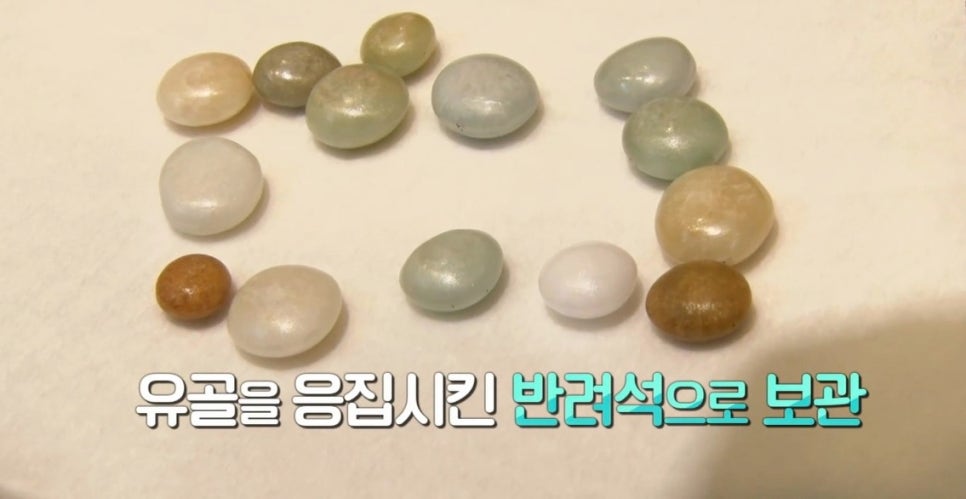 더메모리얼서비스 이미지