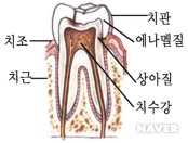 서울바로치과 이미지