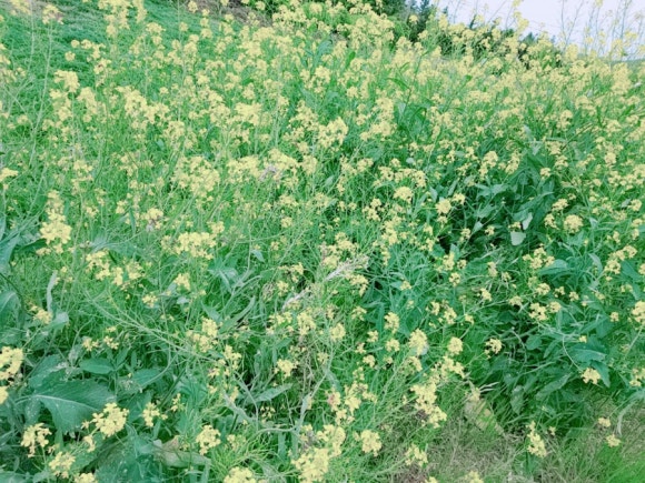곱은달공방 이미지