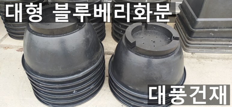 대풍건재 이미지