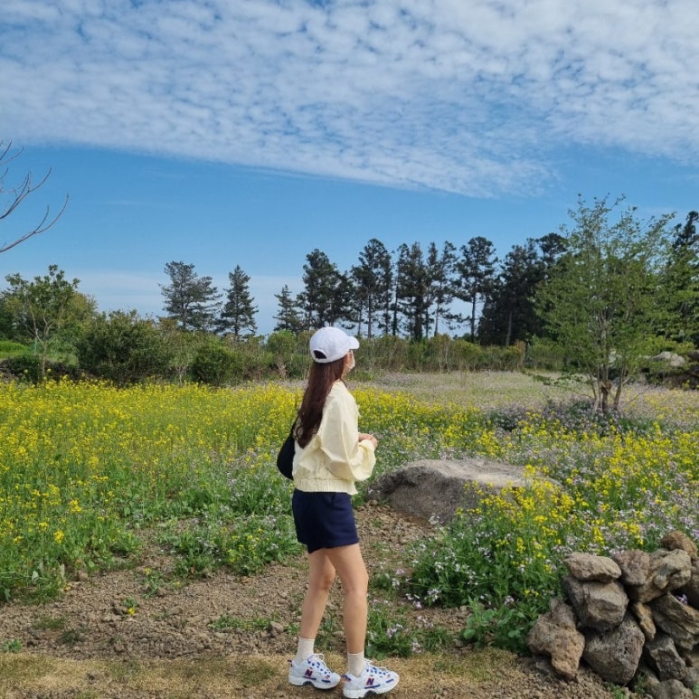 컴발란스 이미지