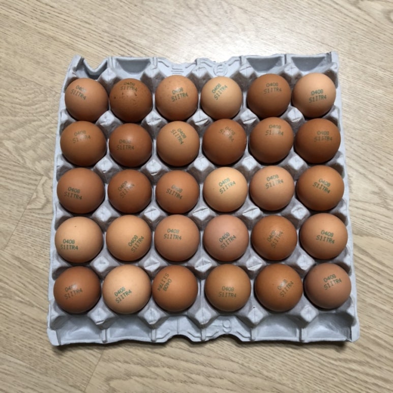 금란마트 이미지