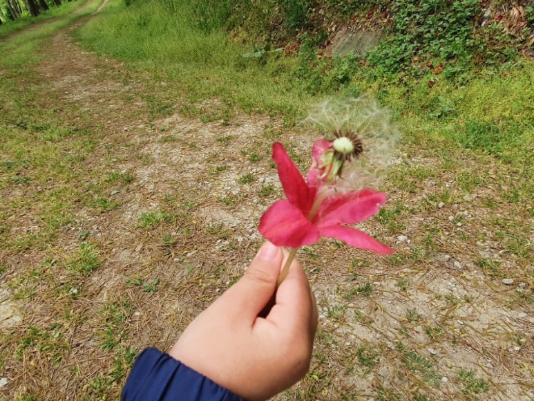 서림어린이집 이미지
