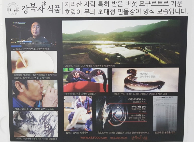 불끈장어 이미지