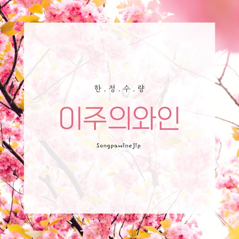 송파와인집 이미지