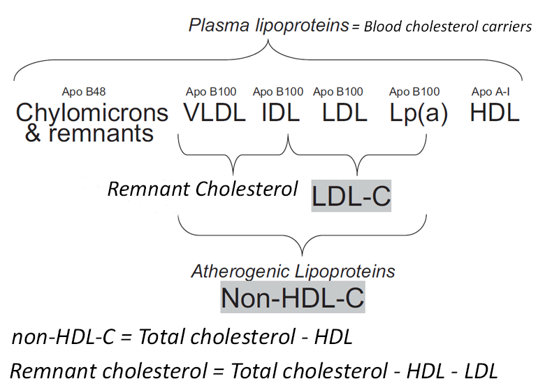 Tc vldl c idl c ldl c lp a c hdl c 