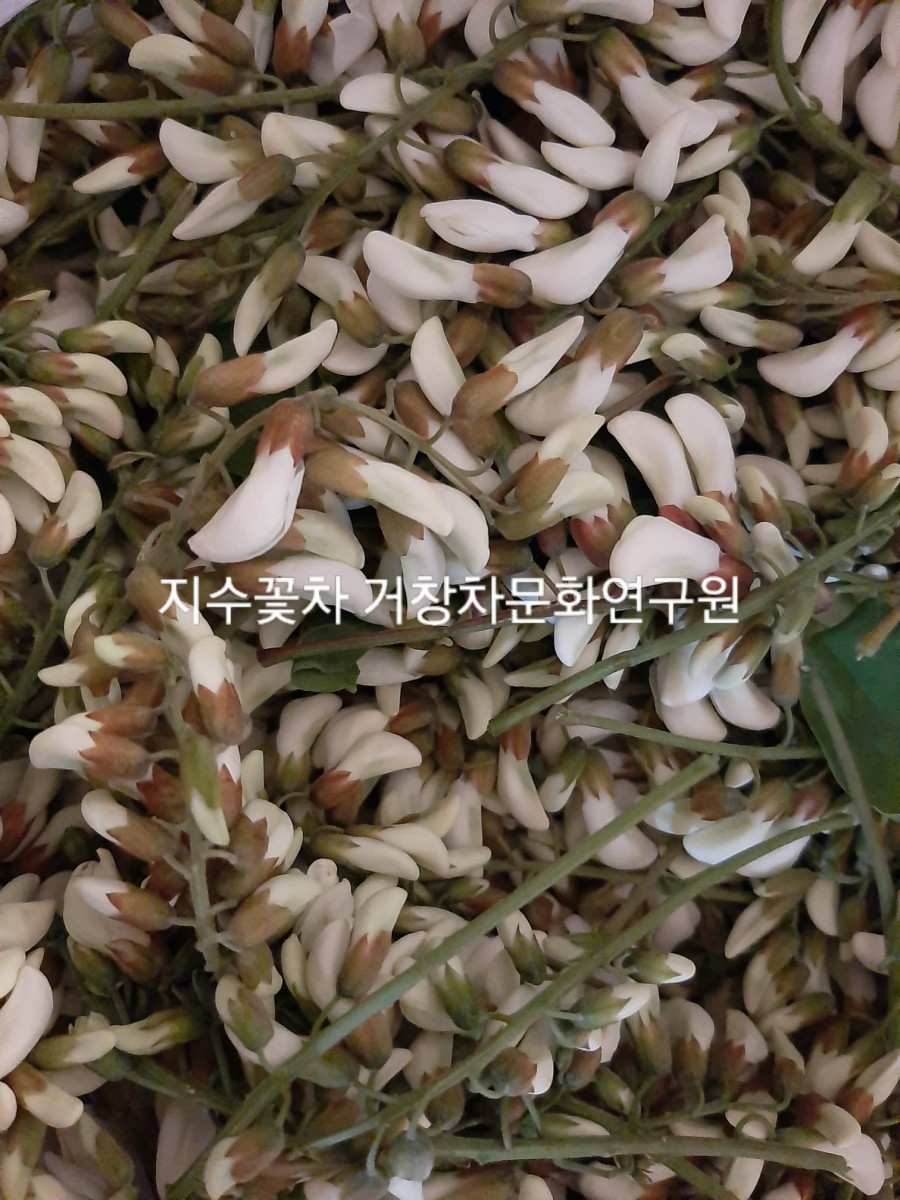 (사)경남문화연구원 이미지