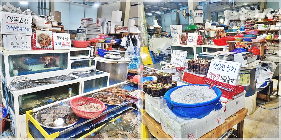 세림팩 이미지