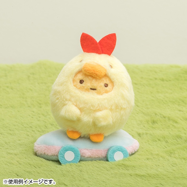 코랑마켓 이미지