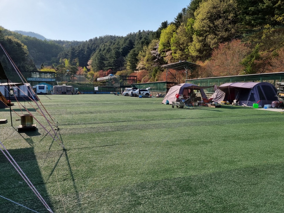예담숲 이미지
