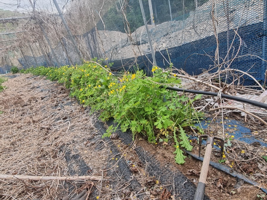 하수구119고압세척 이미지