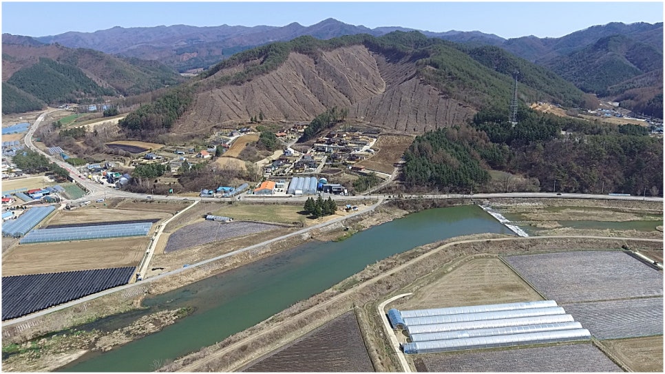푸른디딤(주)농업회사법인 이미지