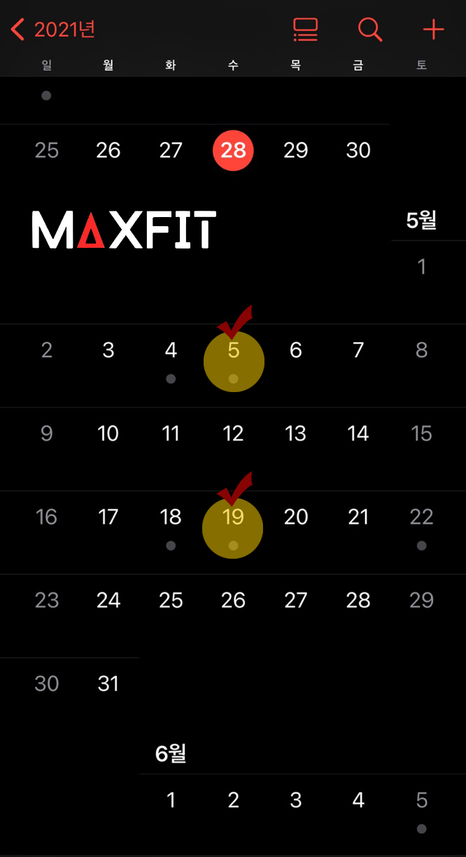 맥스핏 이미지