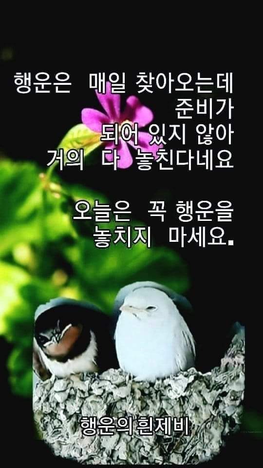 문경하루 이미지