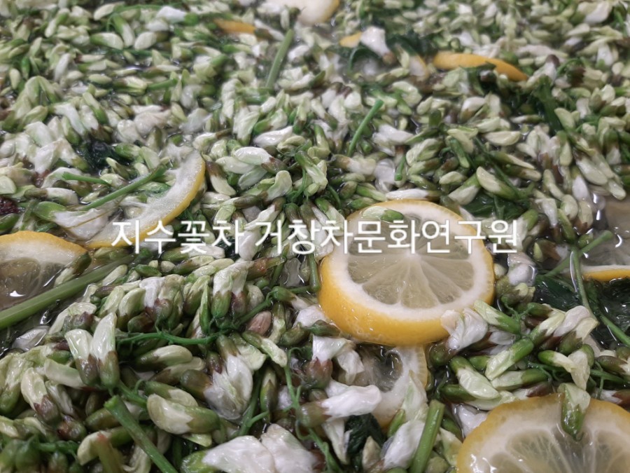 (사)경남문화연구원 이미지