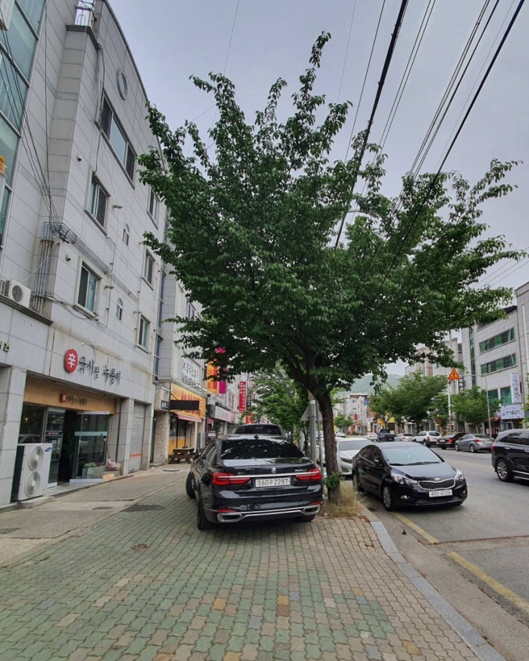 정도ENG 이미지