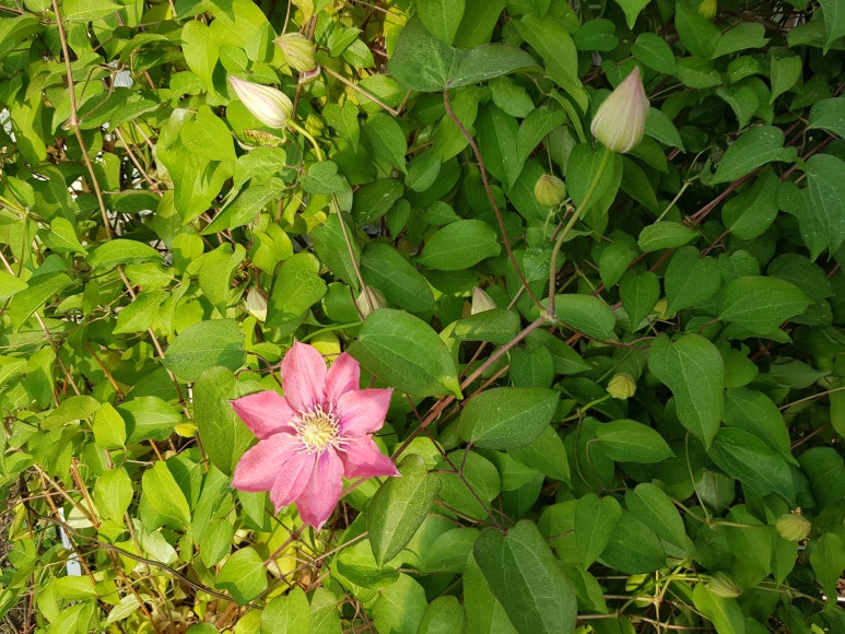 (주)뜨락 이미지