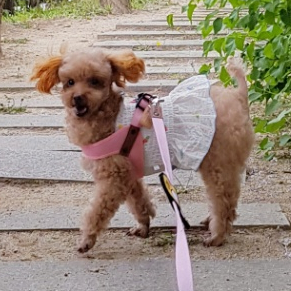 목욕용품점 이미지