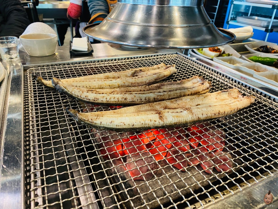 영산강민물장어 이미지