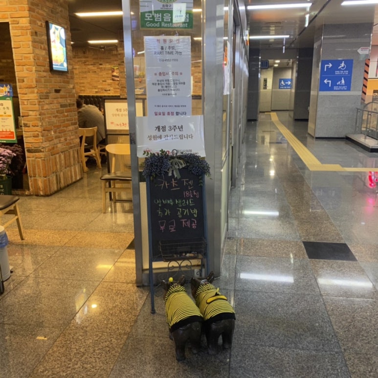 카츠젠월드 이미지