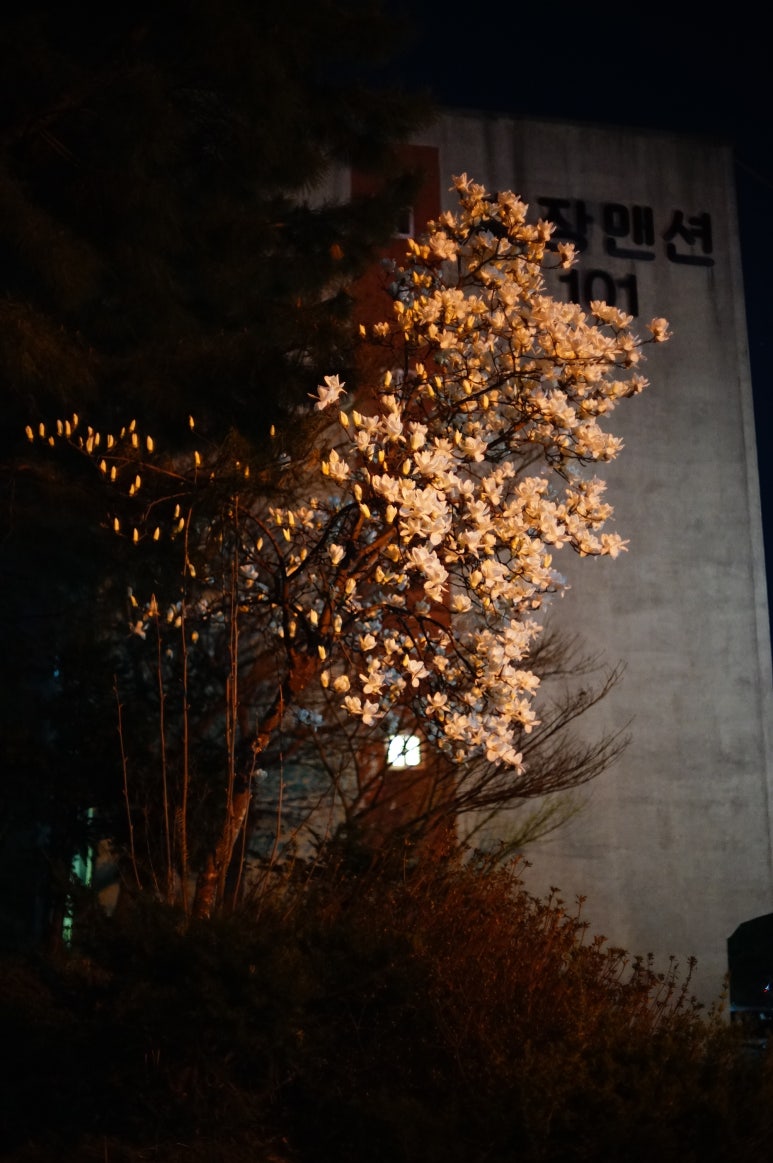 목련슈퍼 이미지