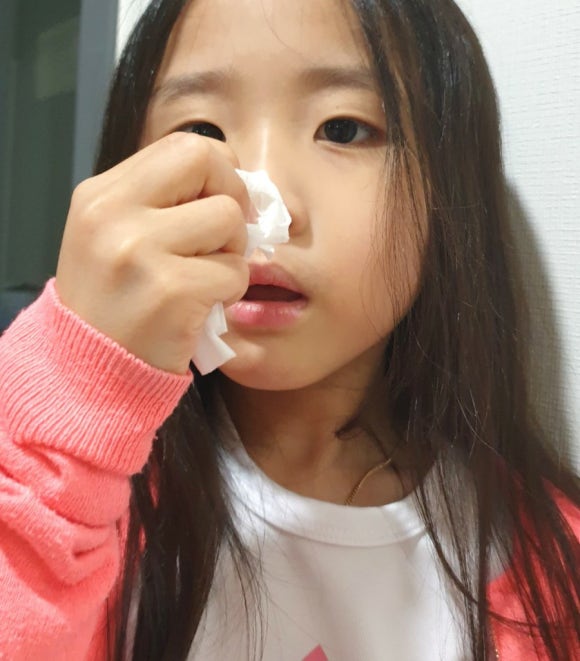 다그루 이미지