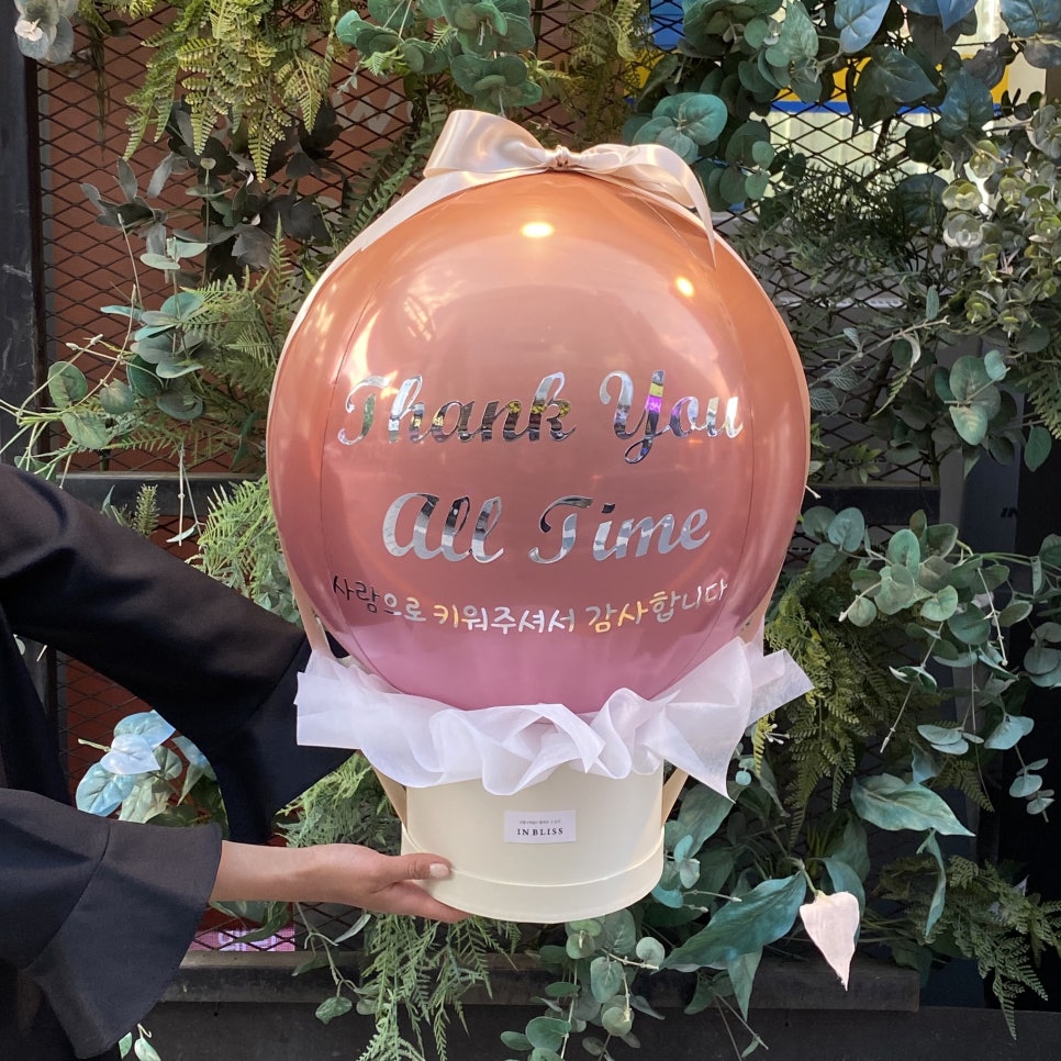 인블리스 이미지