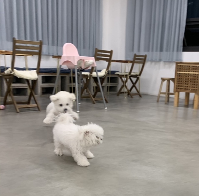 쏭헬스 이미지