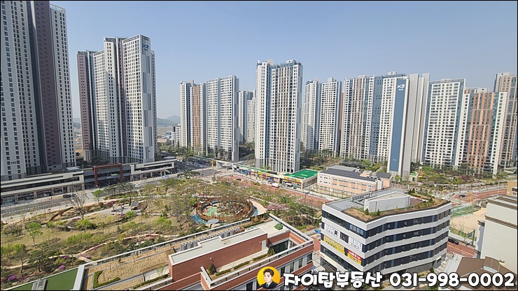 여우날다 이미지