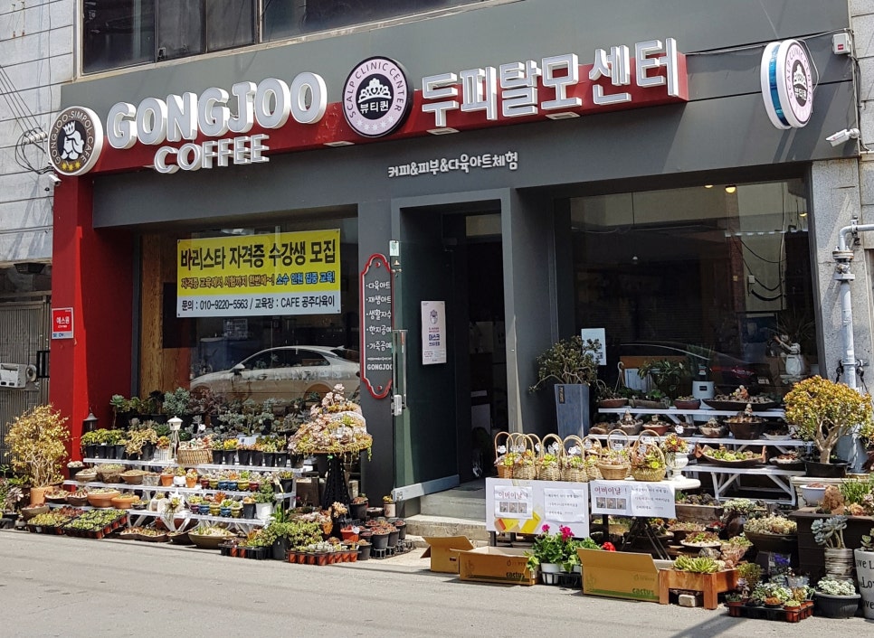 공주다육카페 이미지