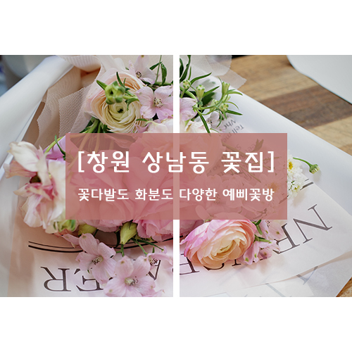 예삐꽃방 이미지