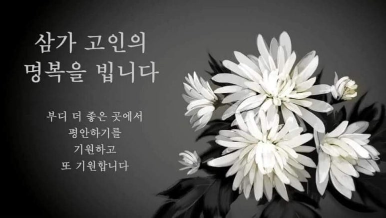 미드미상조 이미지