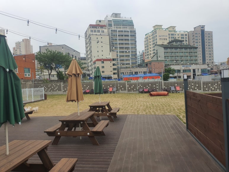파리바게뜨화봉 이미지