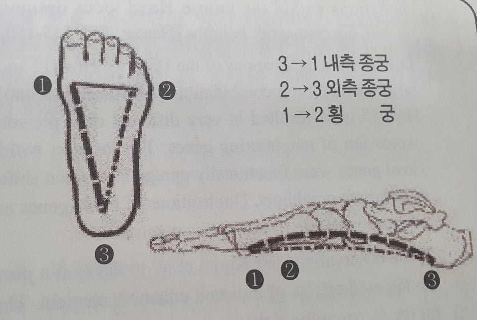 알즈너 명품발 대리점 이미지