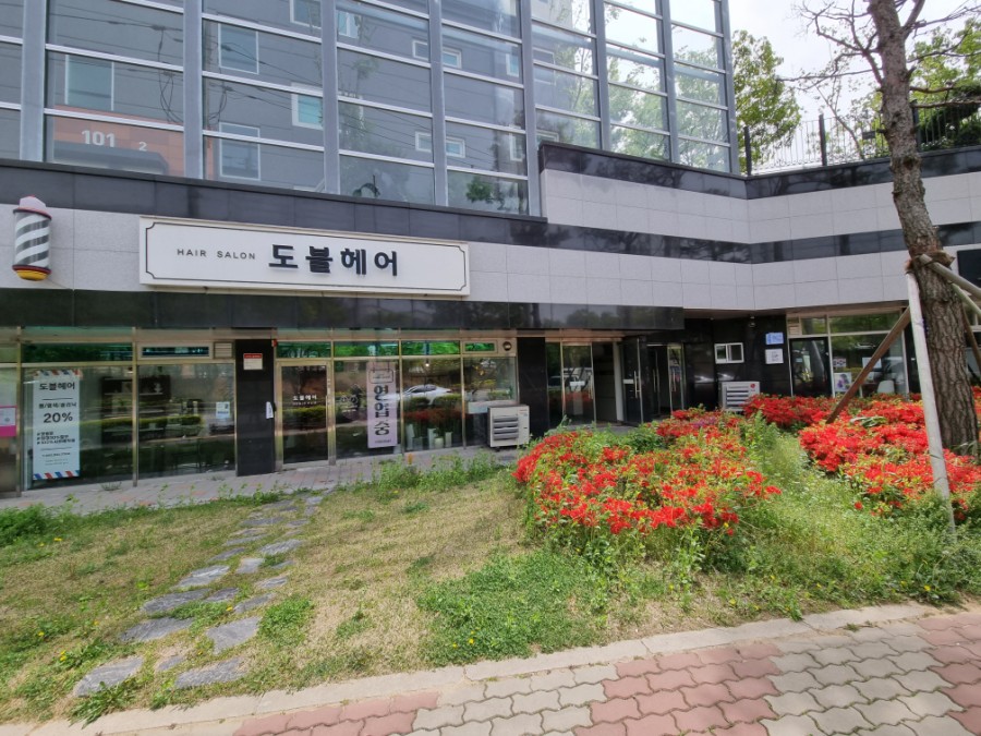 도블헤어 이미지