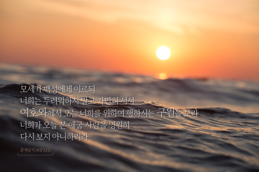 더사랑의교회 이미지